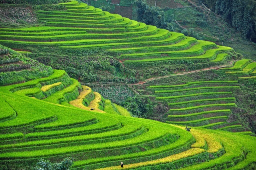 Sapa Vietnam