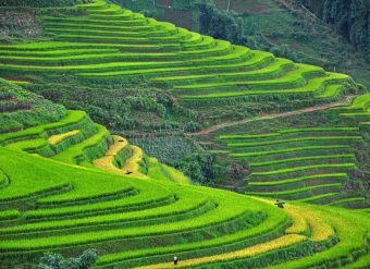 Sapa Vietnam